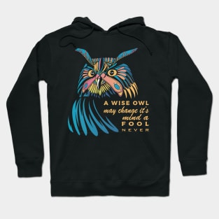 Mystic Owl "A wise owl may change it's mind a fool never" Hoodie